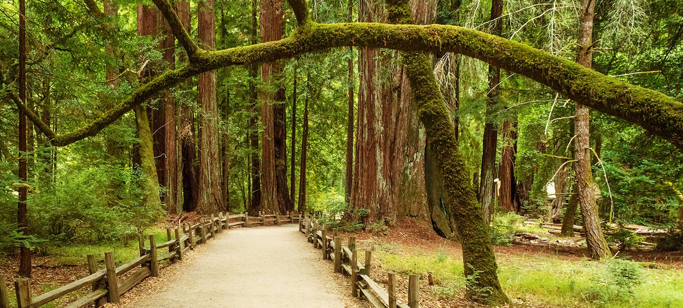 Visit Santa Cruz County