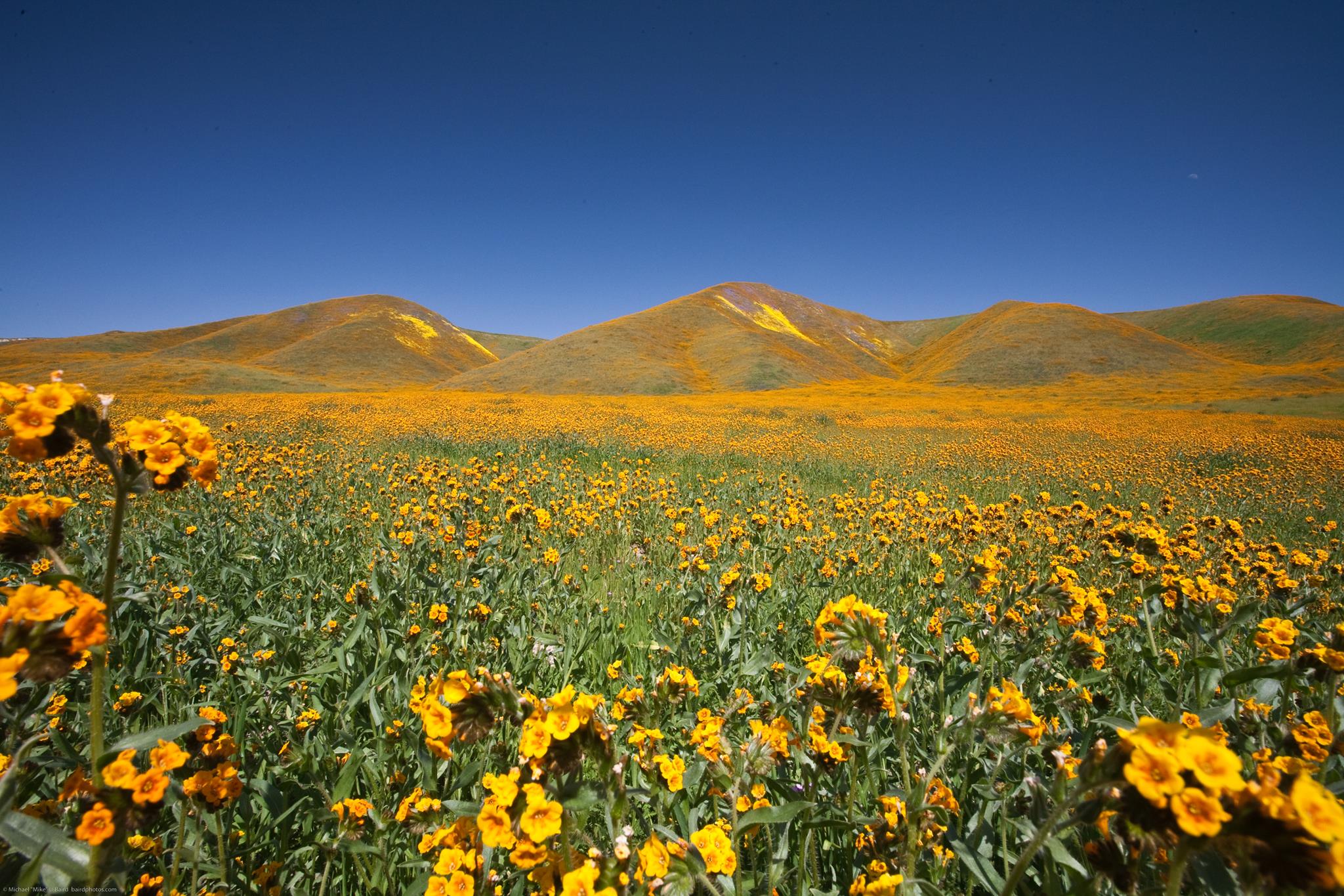Visit Atascadero