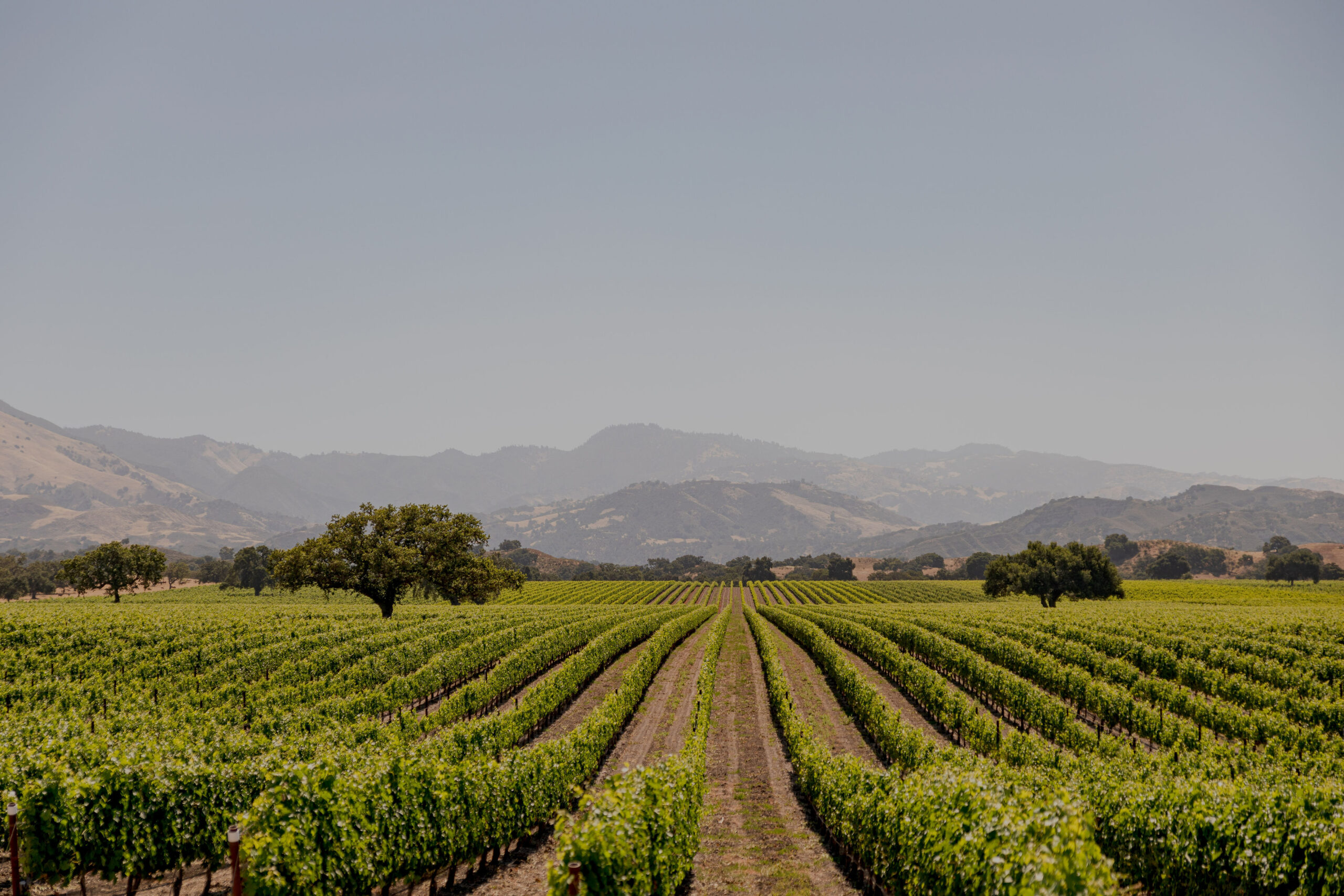 Santa Ynez Valley