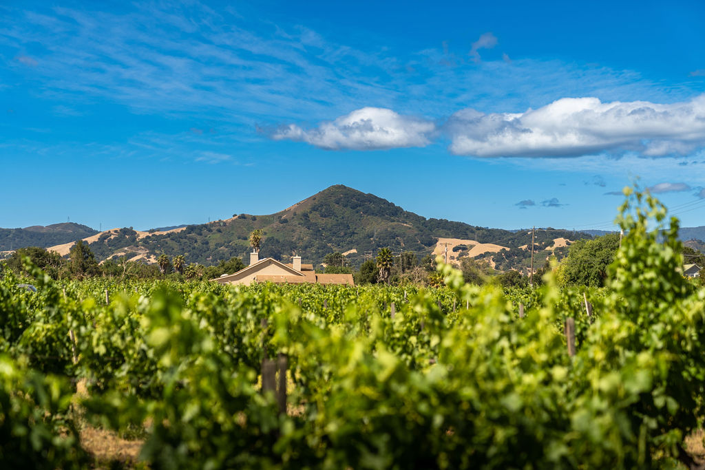 Visit Morgan Hill