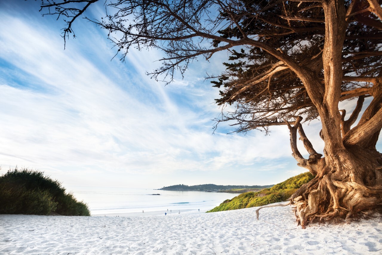 Visit Carmel