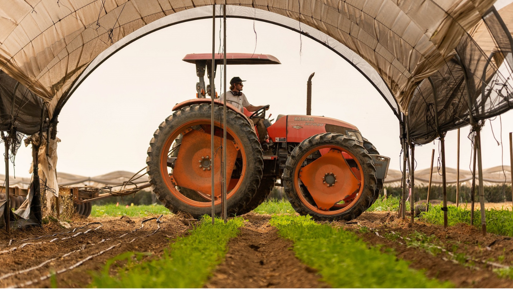 SHOP, TASTE & PICK ALONG THE CAMARILLO FARM TRAIL