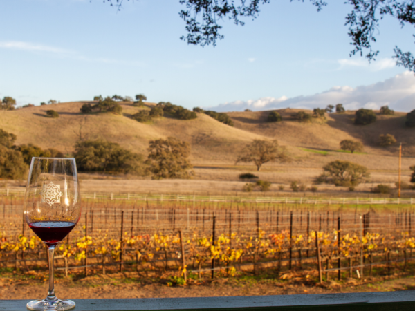 Wine Down in the California Central Coast