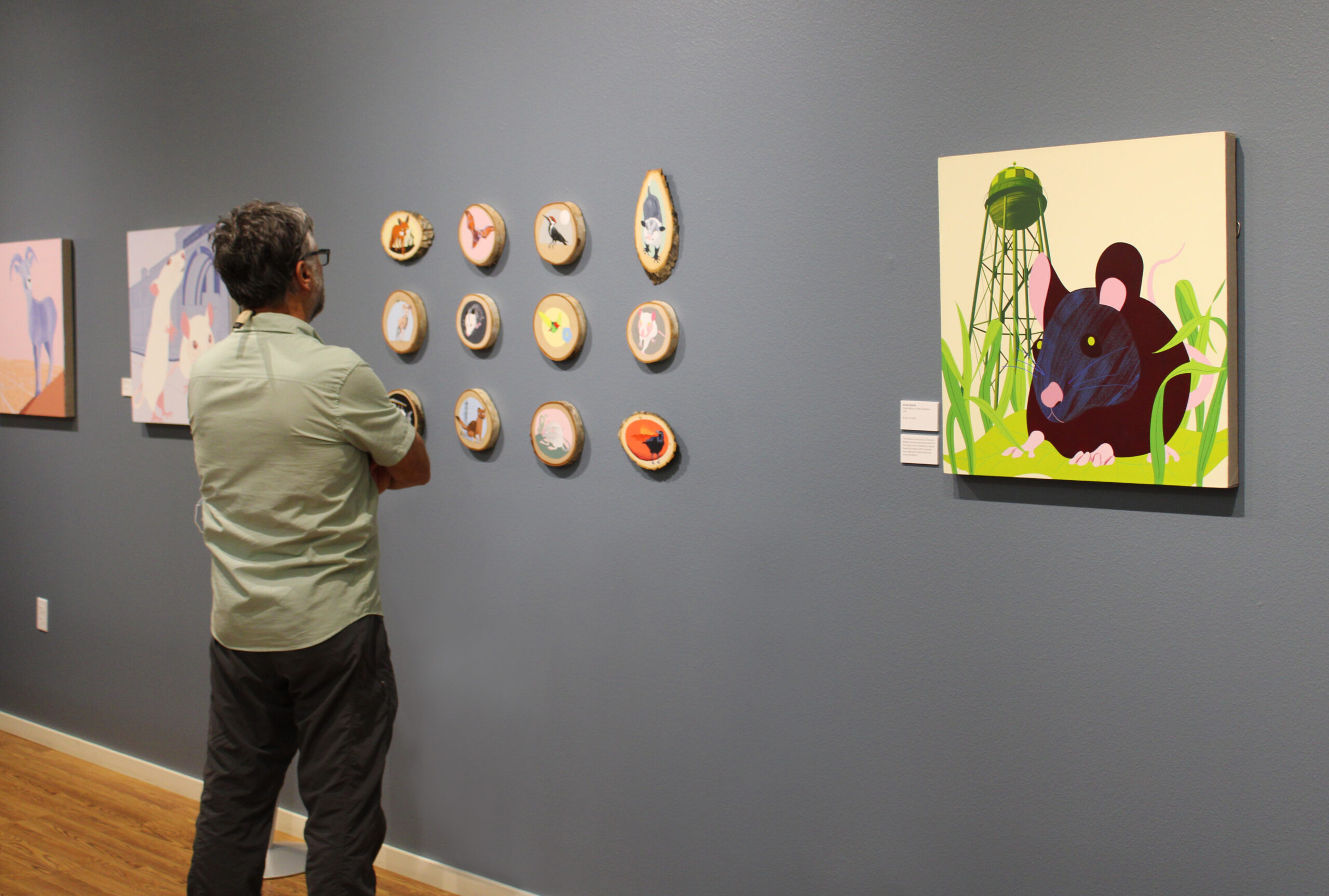 California Nature Art Museum